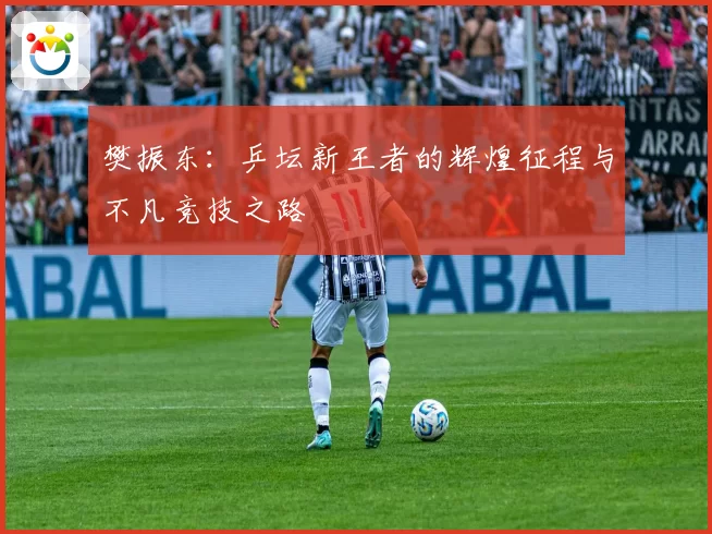 樊振东：乒坛新王者的辉煌征程与不凡竞技之路