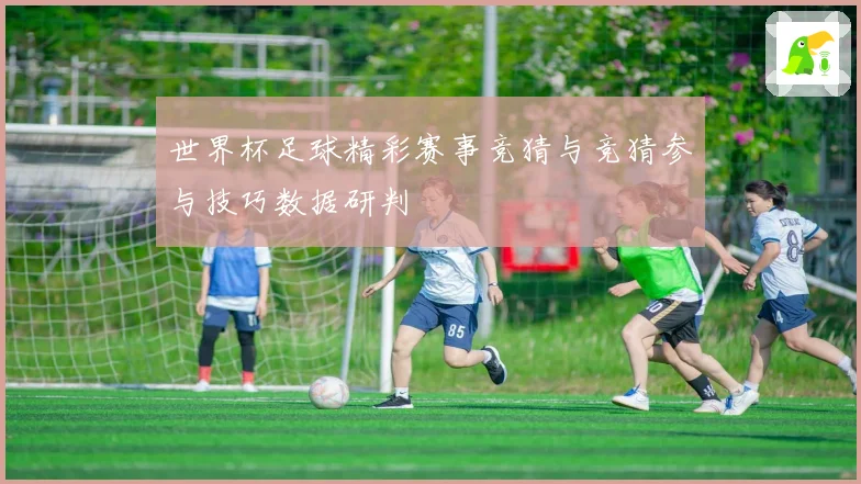 世界杯足球精彩赛事竞猜与竞猜参与技巧数据研判