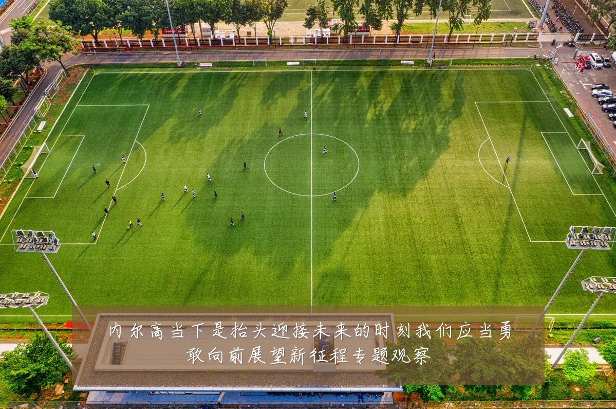 内尔高当下是抬头迎接未来的时刻我们应当勇敢向前展望新征程专题观察