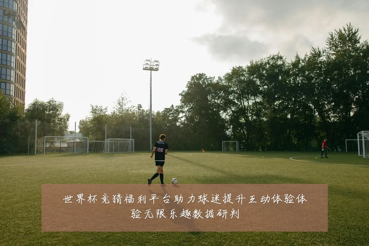 世界杯竞猜福利平台助力球迷提升互动体验体验无限乐趣数据研判